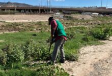 Cuadrillas municipales limpian el bordo del Río Bravo antes de la Carrera Chupacabras