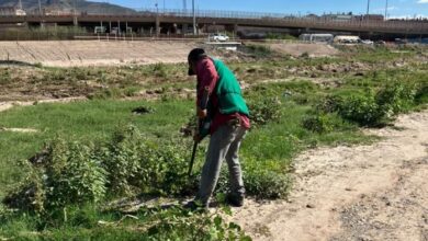 Cuadrillas municipales limpian el bordo del Río Bravo antes de la Carrera Chupacabras